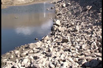 13 طرح آبخیزداری در سمیرم اجرا شده است