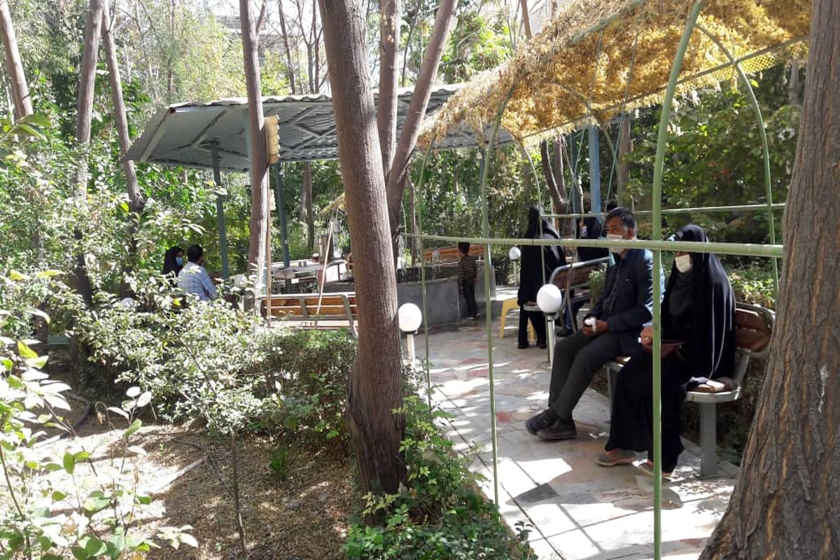 دانشگاه معارف و عترت