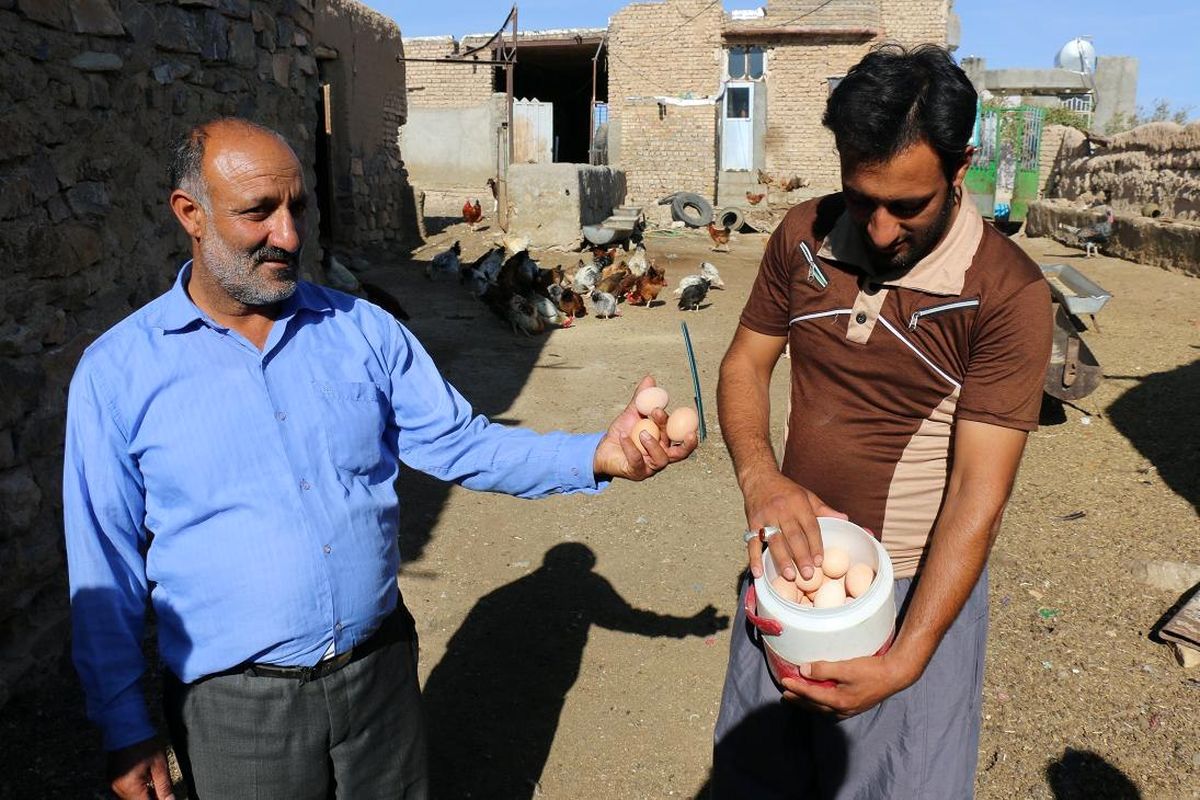 اشتعال روستایی