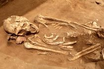 اجساد ۲۰۰ داعشی در یک گور جمعی در الخالدیه کشف شد