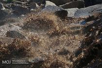 سیلاب اخیر، بانگ بیدارباش برای مسئولین است/نظارت کافی برای پیشگیری از تخلفات احتمالی صورت گیرد 