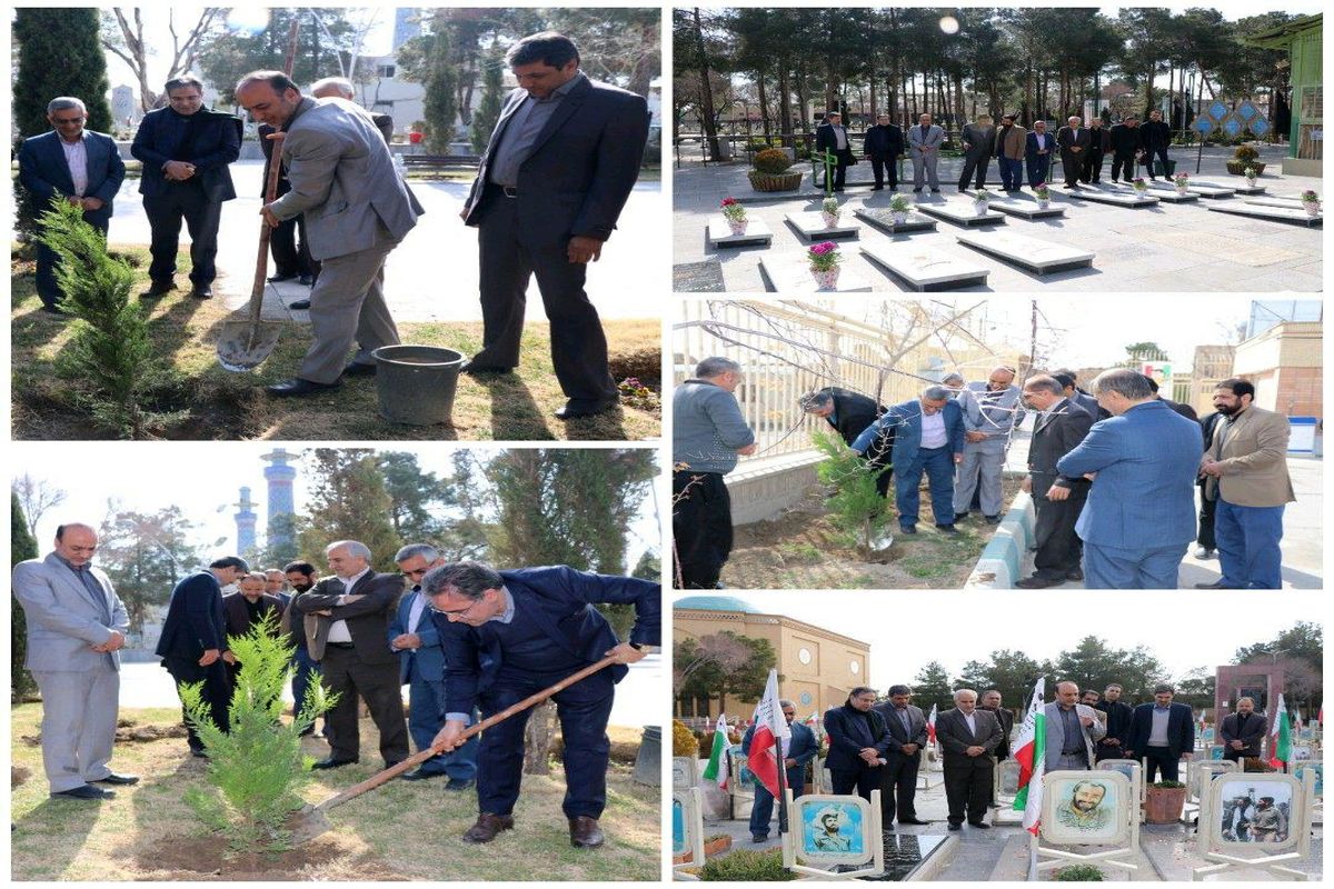 کاشت نهال توسط شرکت مخابرات