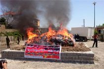 امحا یک‌هزار و ۲۰۰ کیلوگرم انواع موادمخدر غیر دارویی در ساری