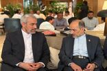 وزیر اقتصاد وارد هند شد/ ادامه دیپلماسی اقتصادی ایران در بریکس