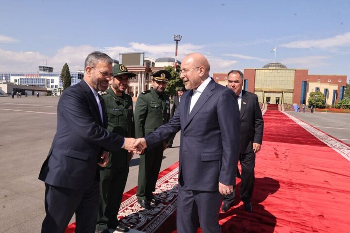 قالیباف