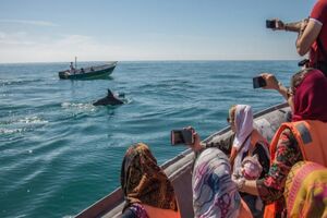  اولویت در هرمزگان توجه به گردشگری دریایی است/برگزاری 5 جشنواره فرهنگی تا پایان سال
