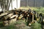 20 تن چوب بلوط قاچاق در نجف آباد کشف شد