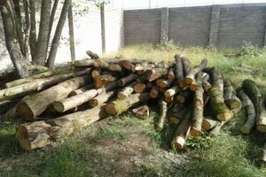20 تن چوب بلوط قاچاق در نجف آباد کشف شد
