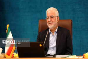 وزیر کشور از خانواده مرحوم احمد بالدی دلجویی کرد