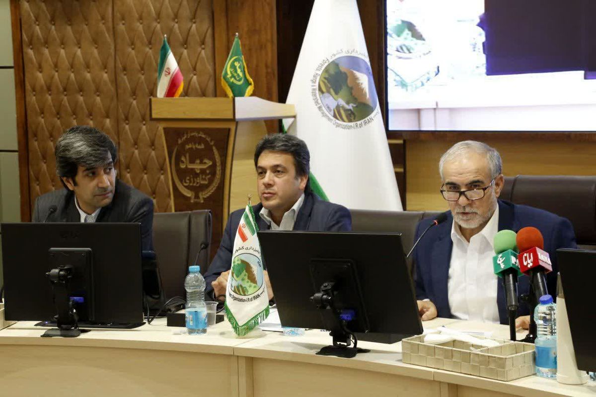 اقایی