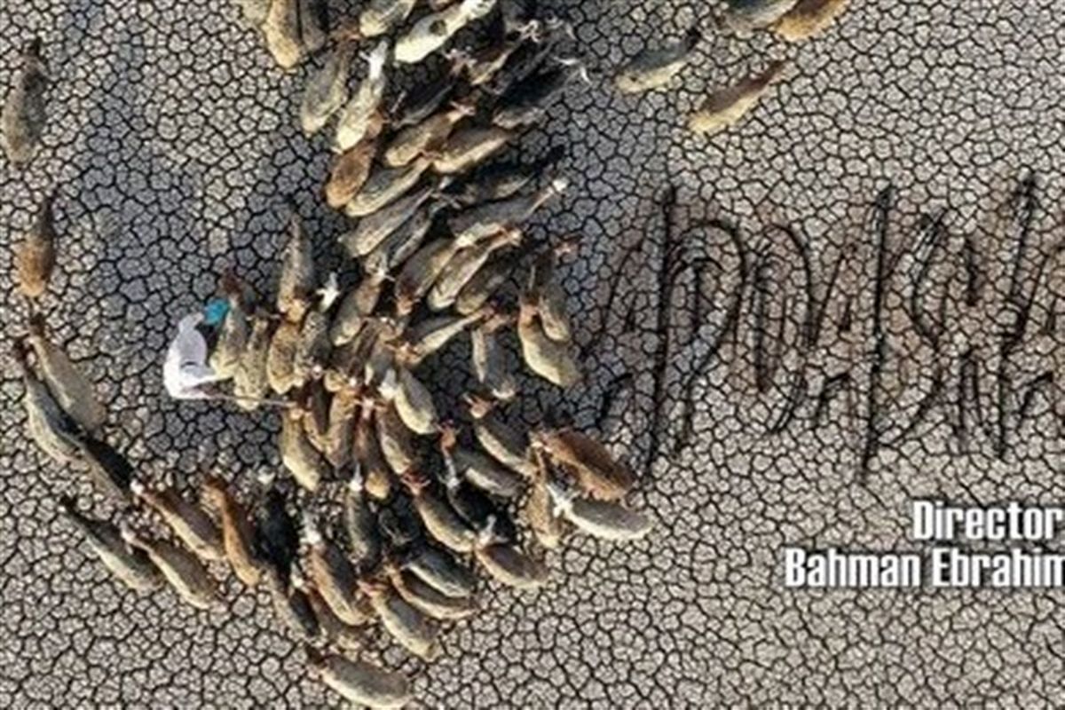 مستند «اپوش»