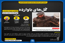 اینفوگرافیک/ فیلم گل های باوارده