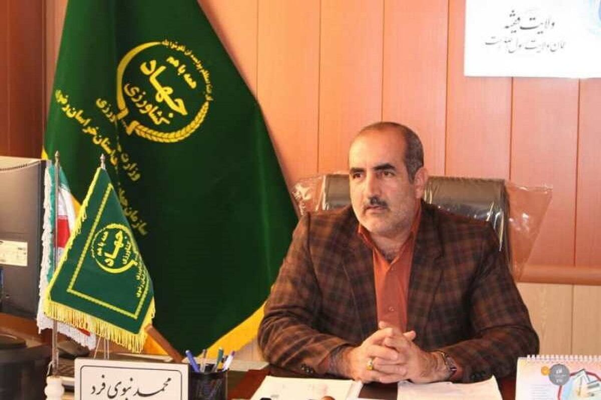 محمد نبوی فرد