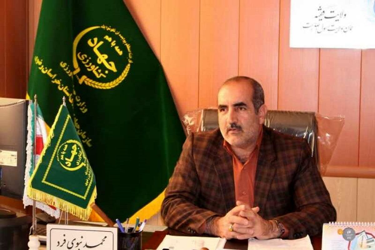 محمد نبوی فرد