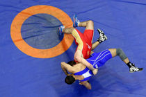 شورای فنی کشتی آزاد امروز تشکیل جلسه می‌دهد