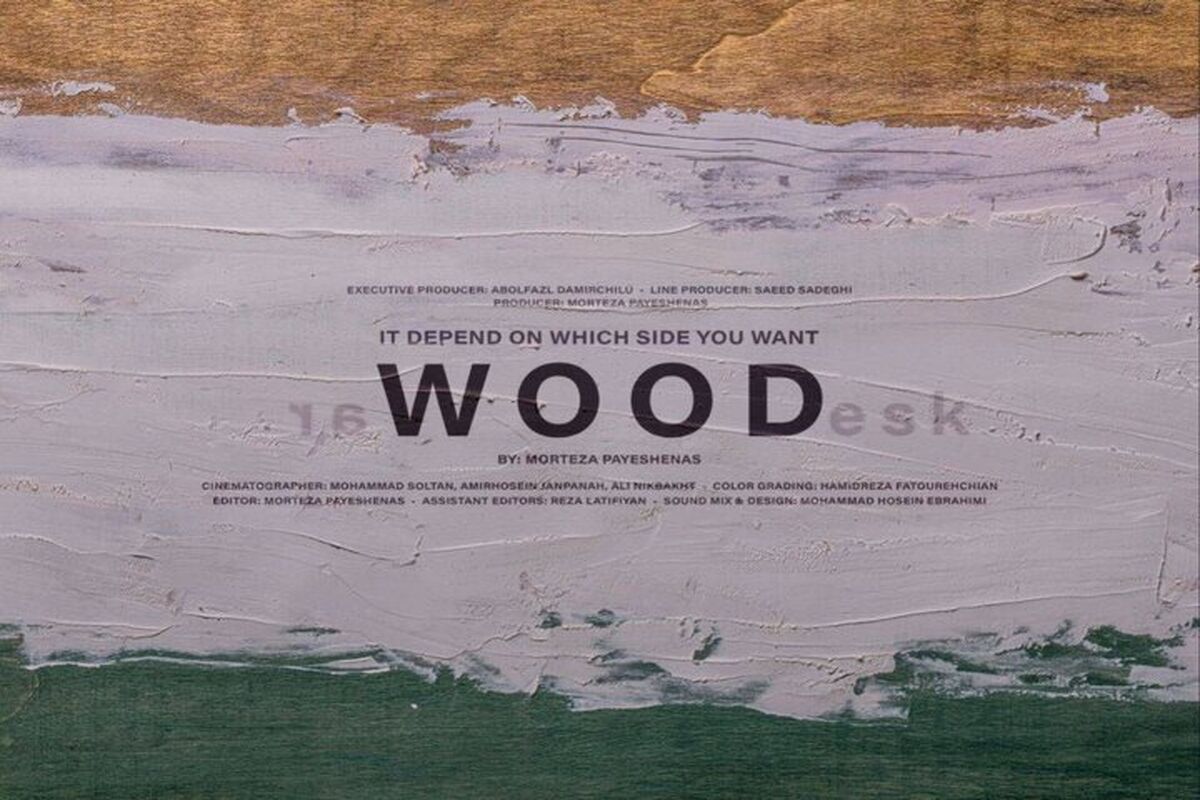 فیلم کوتاه