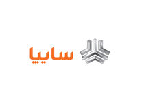 تعویق واگذاری سهام سایپا برای شفافیت و حفظ هویت خودروسازی ضروری است