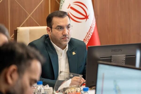 معاون وزیر کار از راه اندازی ۵۰ فروشگاه آنلاین برای عرضه محصولات مهارت‌آموزان خبر داد