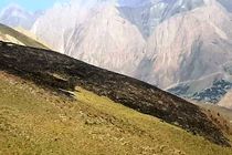 آتش سوزی در مراتع رینه مهار شد/ لغو پرواز امداد هوایی اطفاء حریق