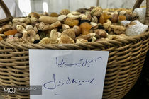 کاهش 20 تا 100 درصدی قیمت آجیل شب یلدا نسبت به سال 97