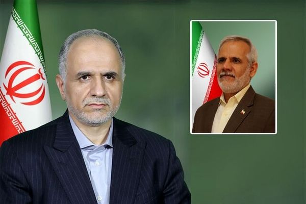 عسکر جلالیان به دبیری مرجع ملی کنوانسیون حقوق کودک منصوب شد