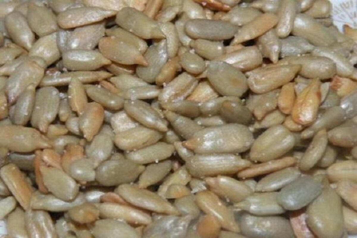 مغز تخمه قاچاق