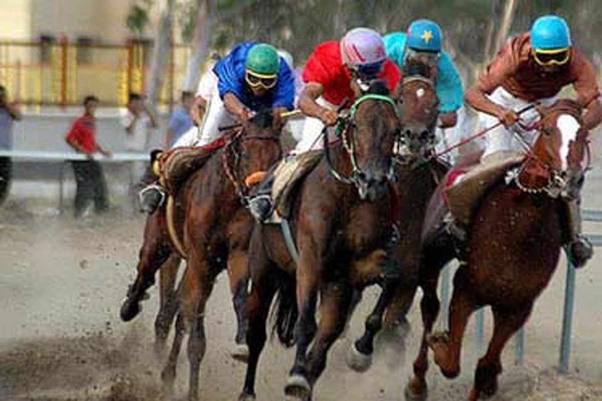 مسابقات سوارکاری در رودسر