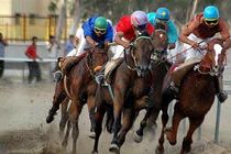 برگزاری مسابقات سوارکاری در رودسر