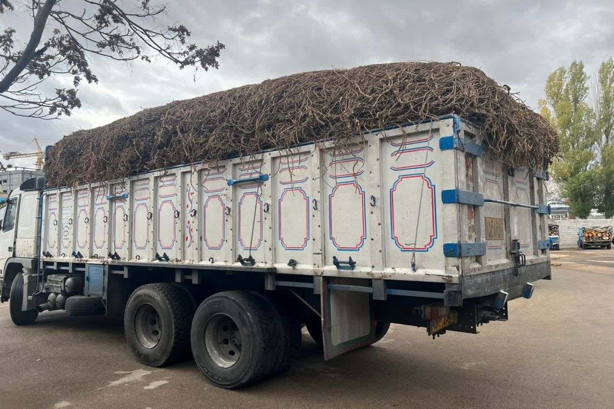 توقیف کامیون حامل ریشه گیاه شیرین بیان در اردبیل