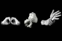 زبان اشاره، زبان همه