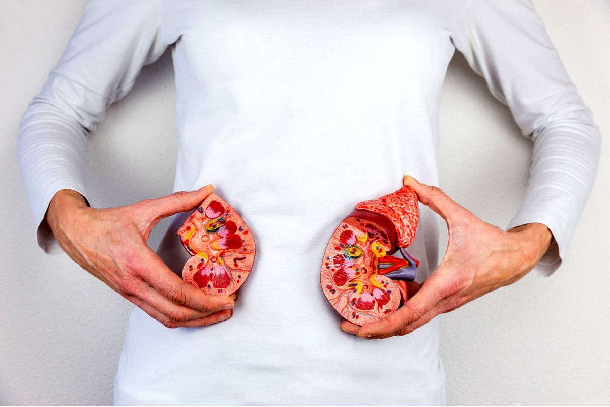 حفظ+سلامت+کلیه