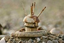 انفجار مین دوران جنگ تحمیلی در دهلران یک کشته بجا گذاشت