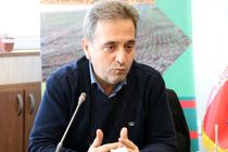 فارس جایگاه اول تولید دام سبک کشور را دارد 