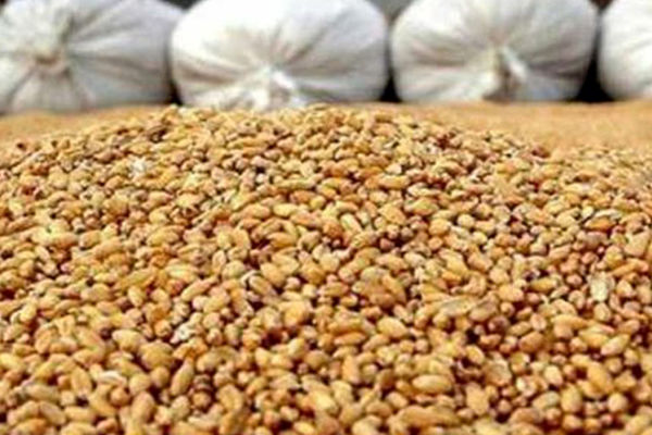 در تامین ارز واردات نهاده‌های دامی مشکلی وجود ندارد