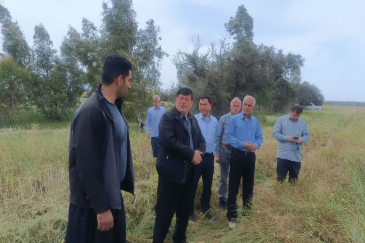 بازدید