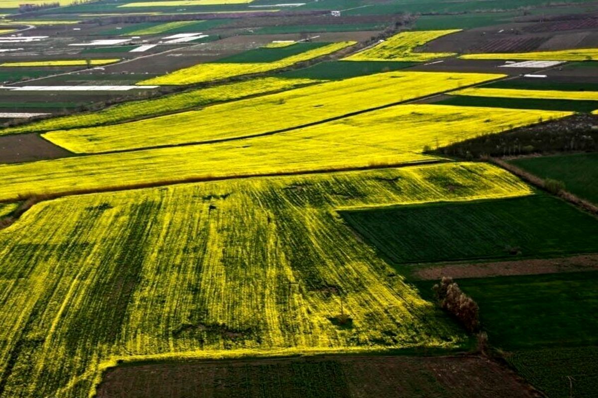 جهاد کشاورزی