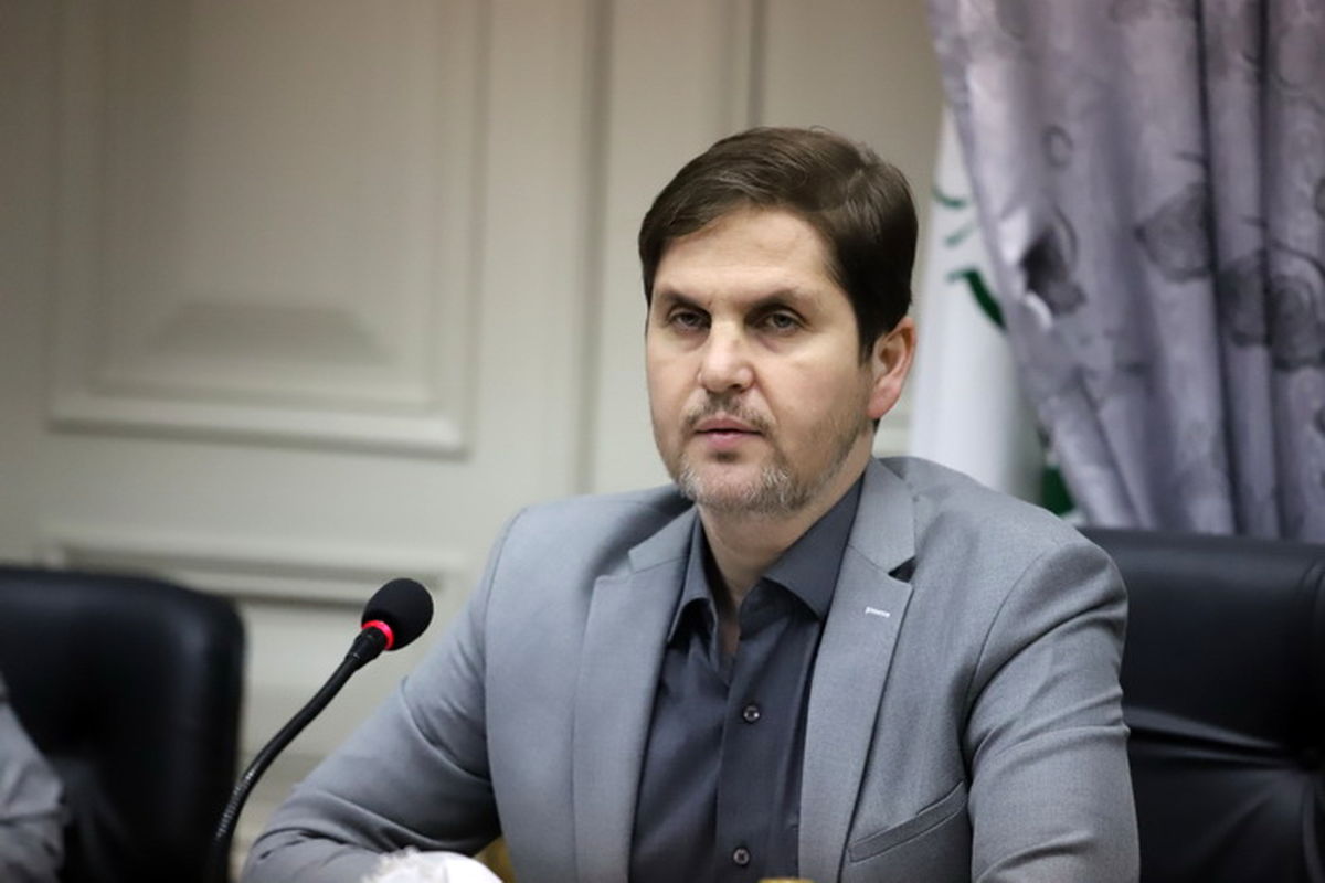 امیر حسین علوی