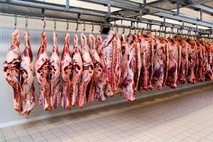 40 تن گوشت گرم وارد فرودگاه پیام شد