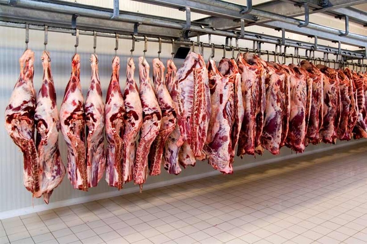 گوشت قرمز