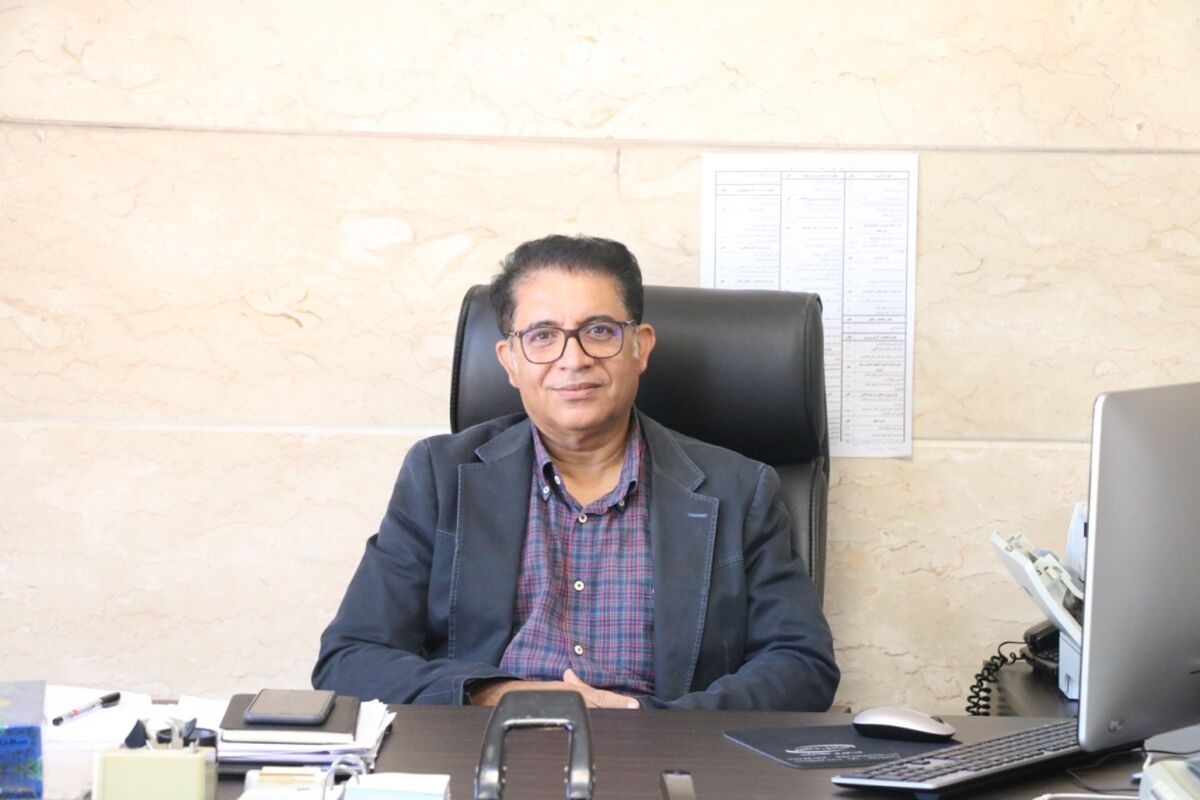 شیلات