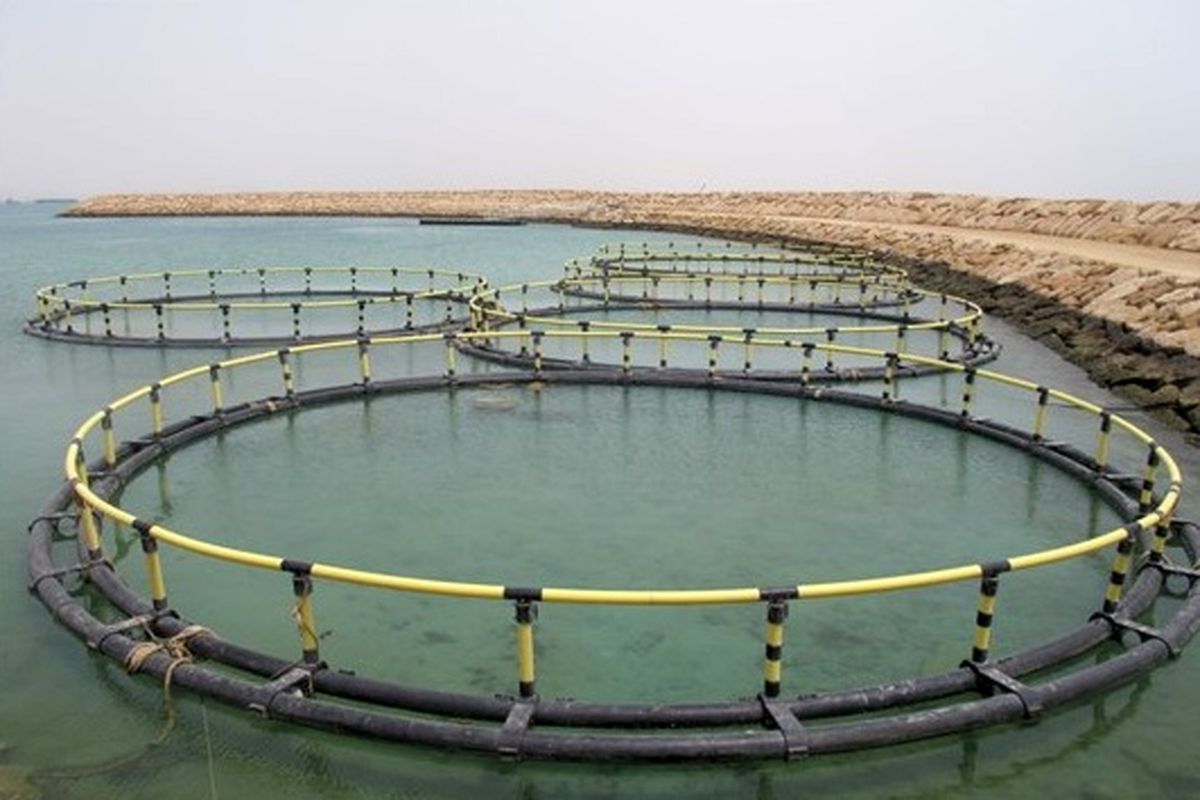 کارگروه شیلات