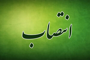 محمدحسین آیتی عضو کمیته معارف اسلامی وزارت بهداشت شد