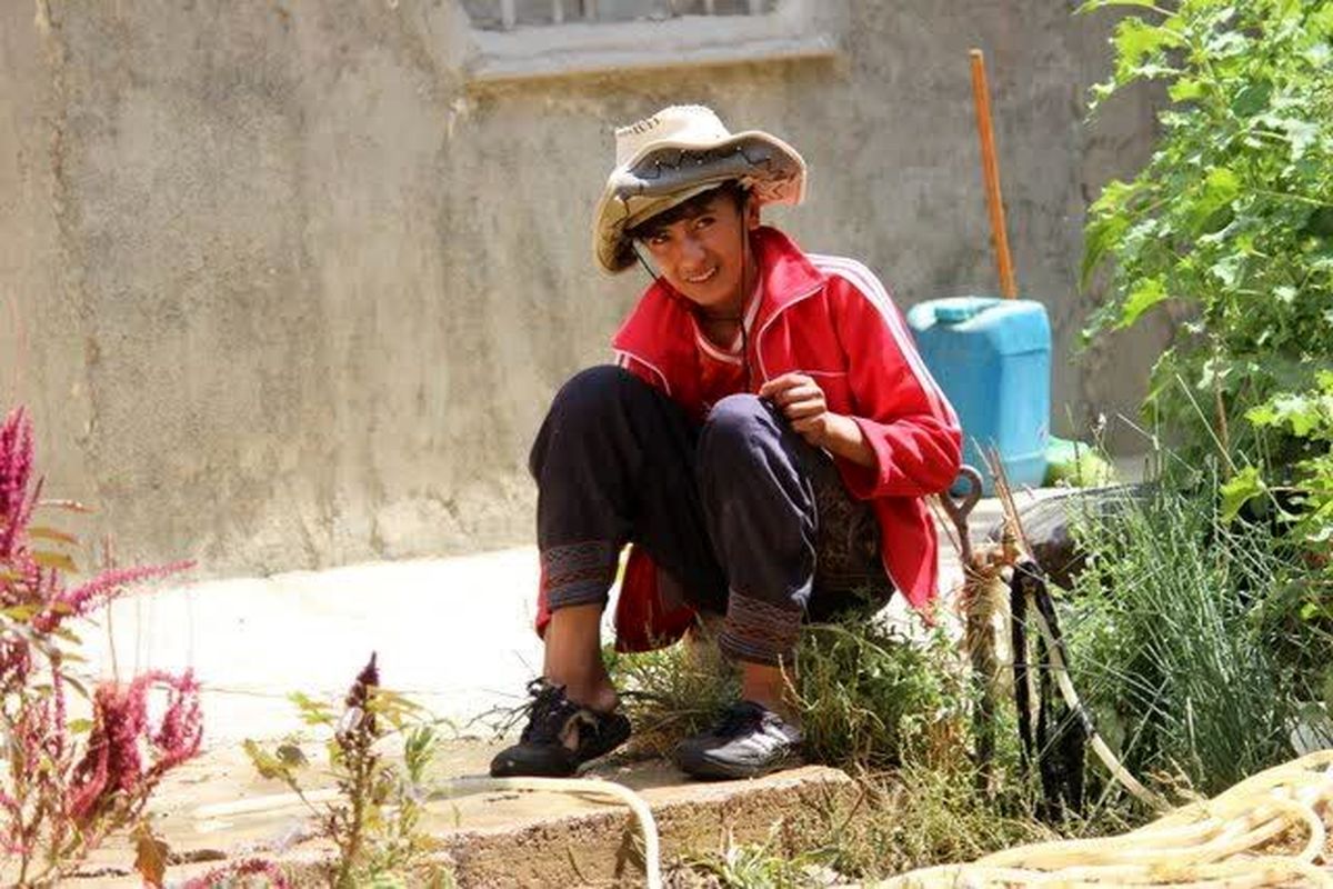 مستند سینمایی