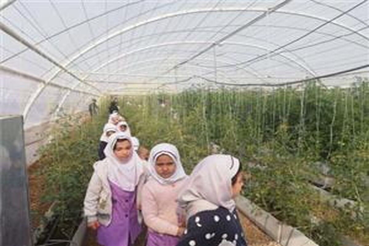 بازدید از گلخانه