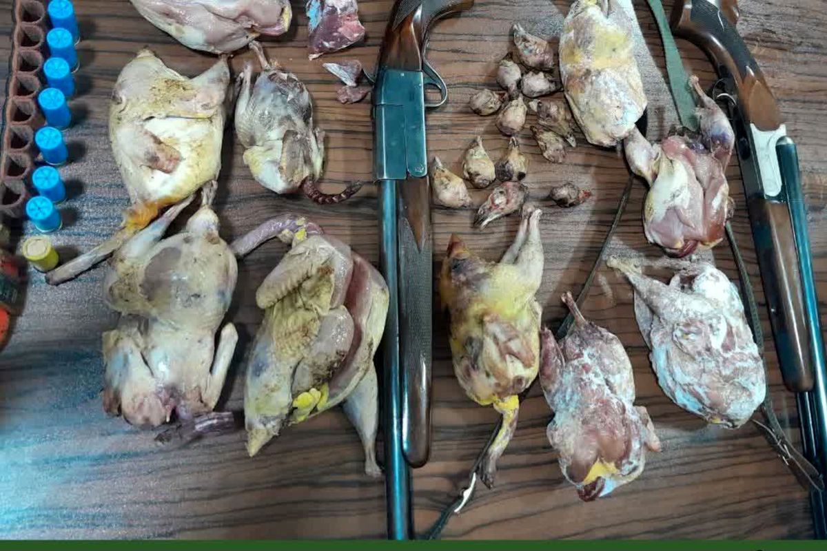 شکار غیر مجاز