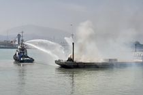 نگاه پیشگیرانه و آینده‌نگری در مقابل تهدیدات زیستی