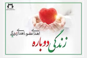 ۱۷ مورد اهدای عضو از ابتدای  امسال در مراکز درمانی دانشگاه مازندران ثبت شد