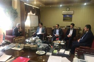 پیشنهاد تشکیل کلینیک چک درمانی برای ساماندهی گردشگران سلامت