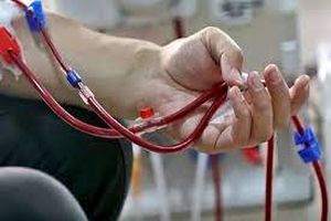 بیش از 6 هزار نفر مددجوی کمیته امداد استان اصفهان بیمار خاص و صعب العلاج هستند