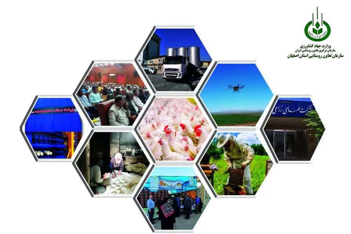 سازمان تعاون روستایی